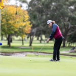 Open Golf